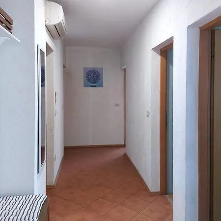 Spacious Family D'or Apartman *